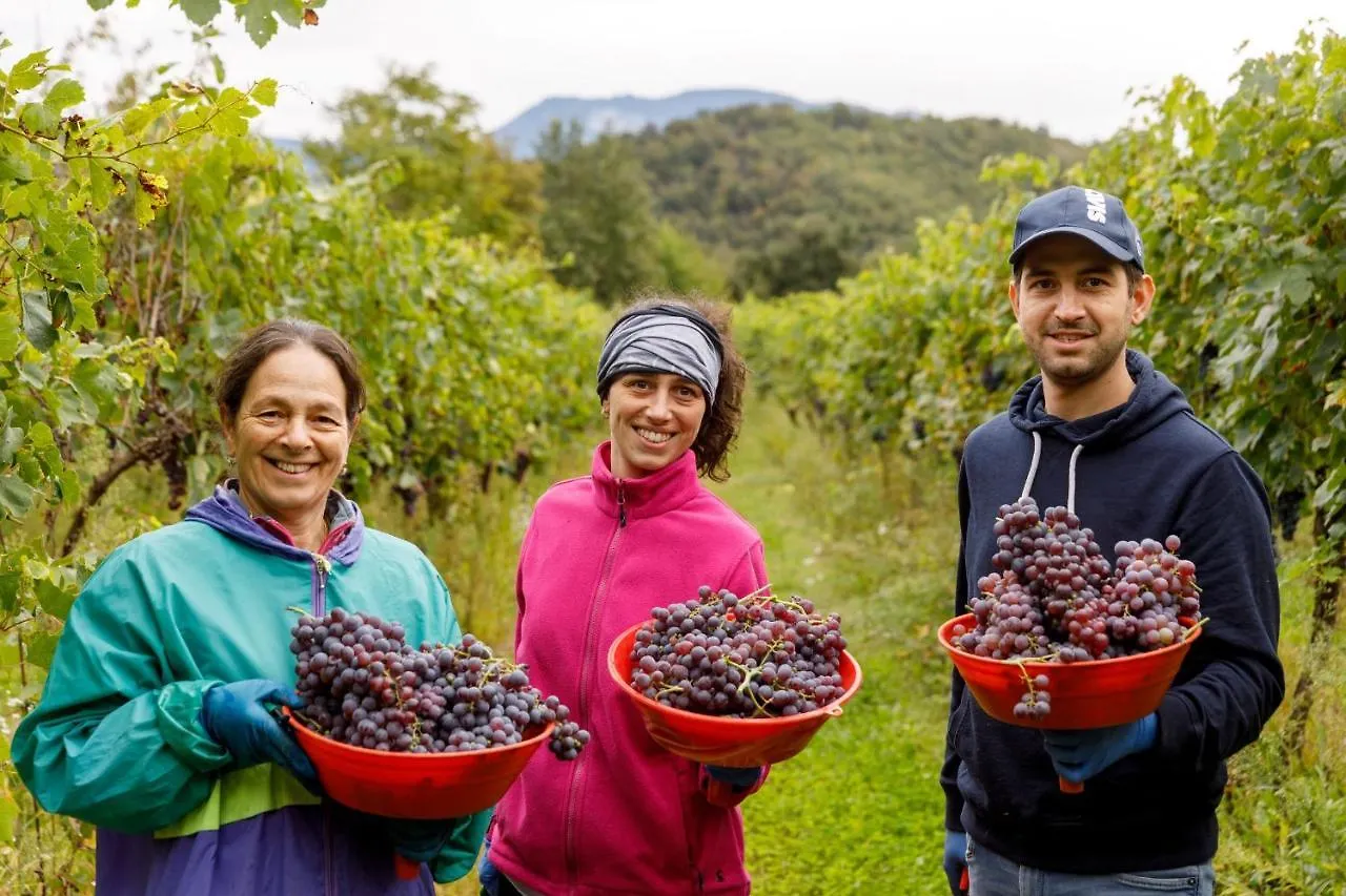 Gospodarstwo agroturystyczne Agriturismo Agricamping Garda Natura Costermano